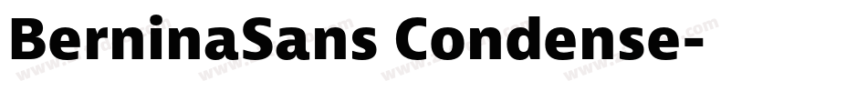 BerninaSans Condense字体转换